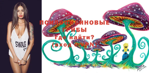 гидропоника Абинск