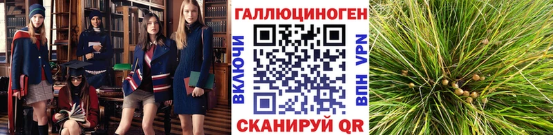 Галлюциногенные грибы ЛСД Донецк